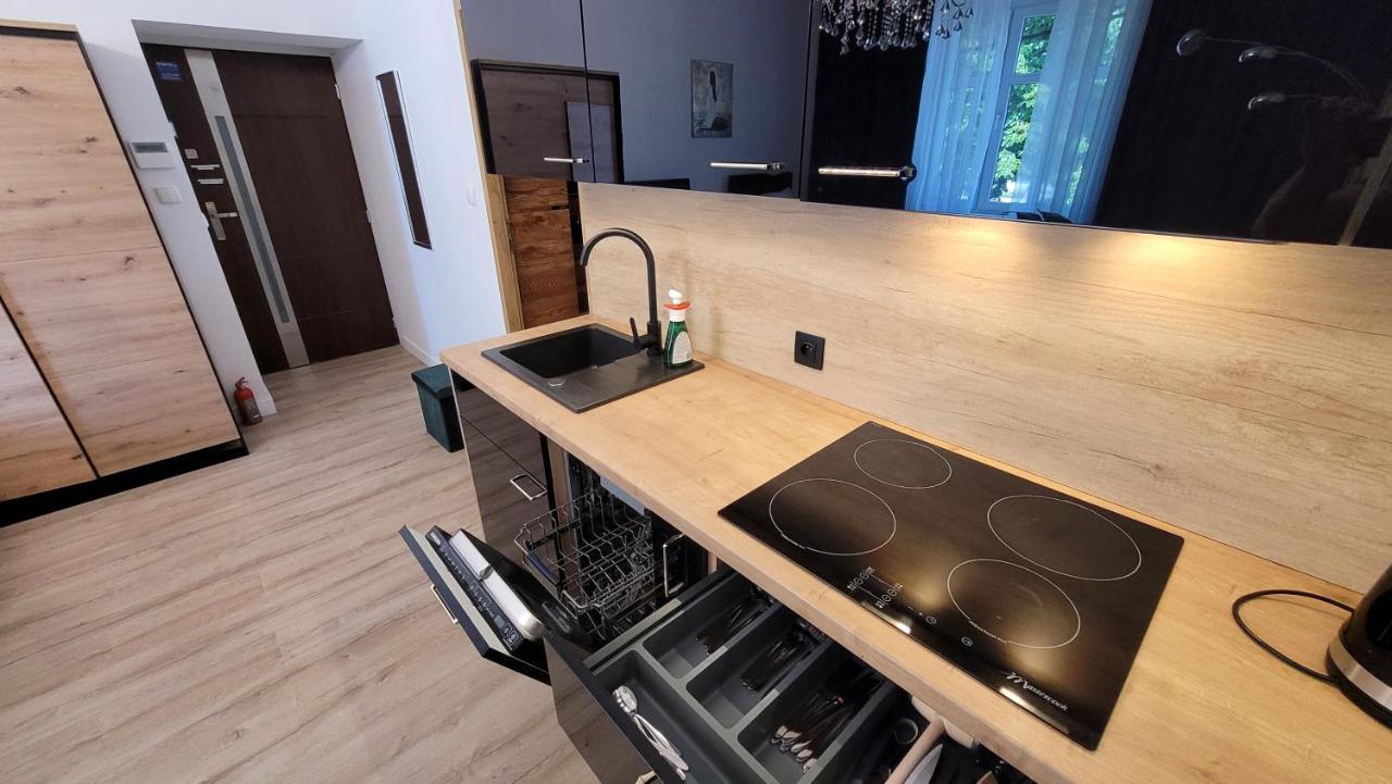 Good Day Apartment Centrum Katoviçe Dış mekan fotoğraf